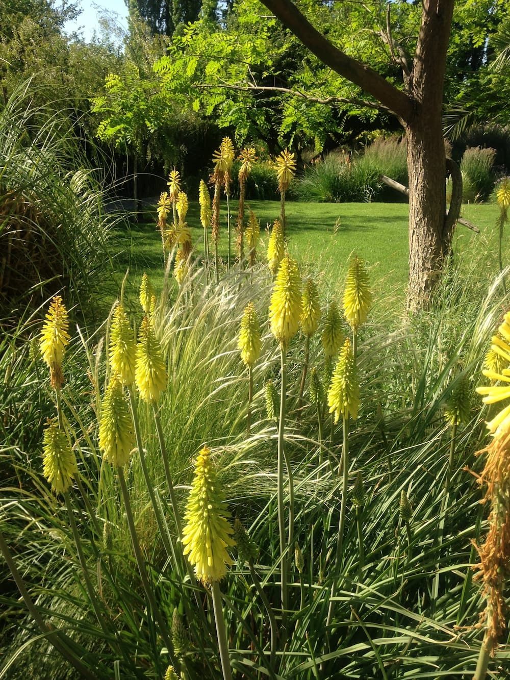 Proyecto de Paisajismo: diseño de jardines privados de principio a fin