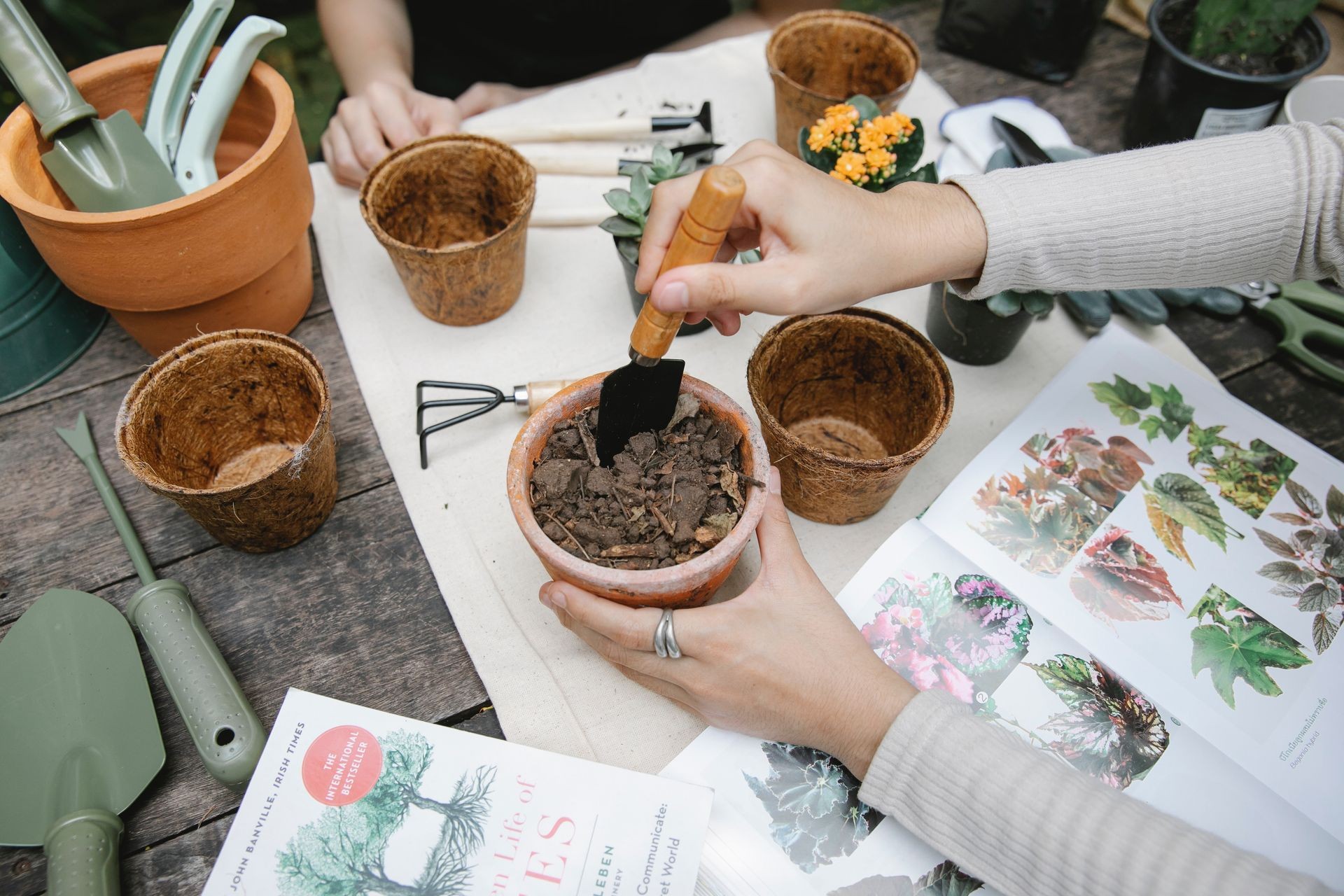 El jardín como aula: aprendizaje práctico  y un laboratorio para paisajistas