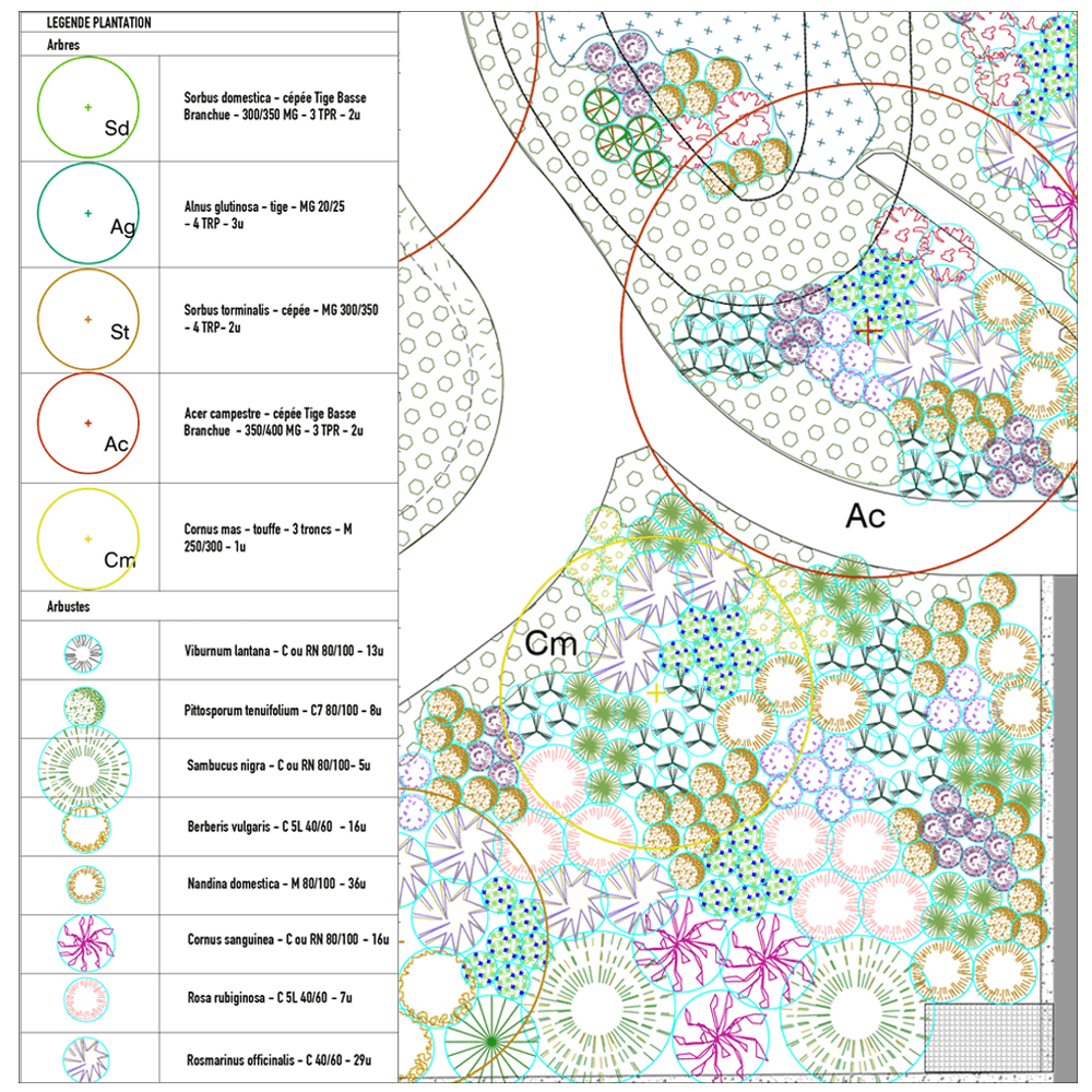 Dibujo digital de jardines: representa tus proyectos con AutoCAD