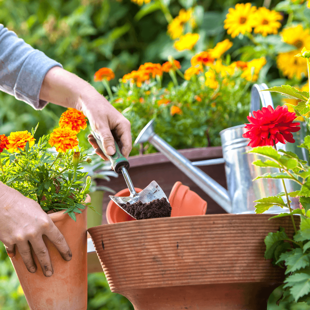 Jardinería Profesional: creando jardines ecológicos y sostenibles. Vespertino