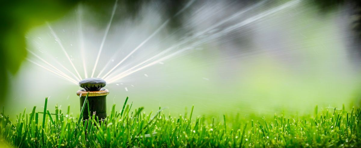 automatic sprinkler system watering the lawn on a background of 