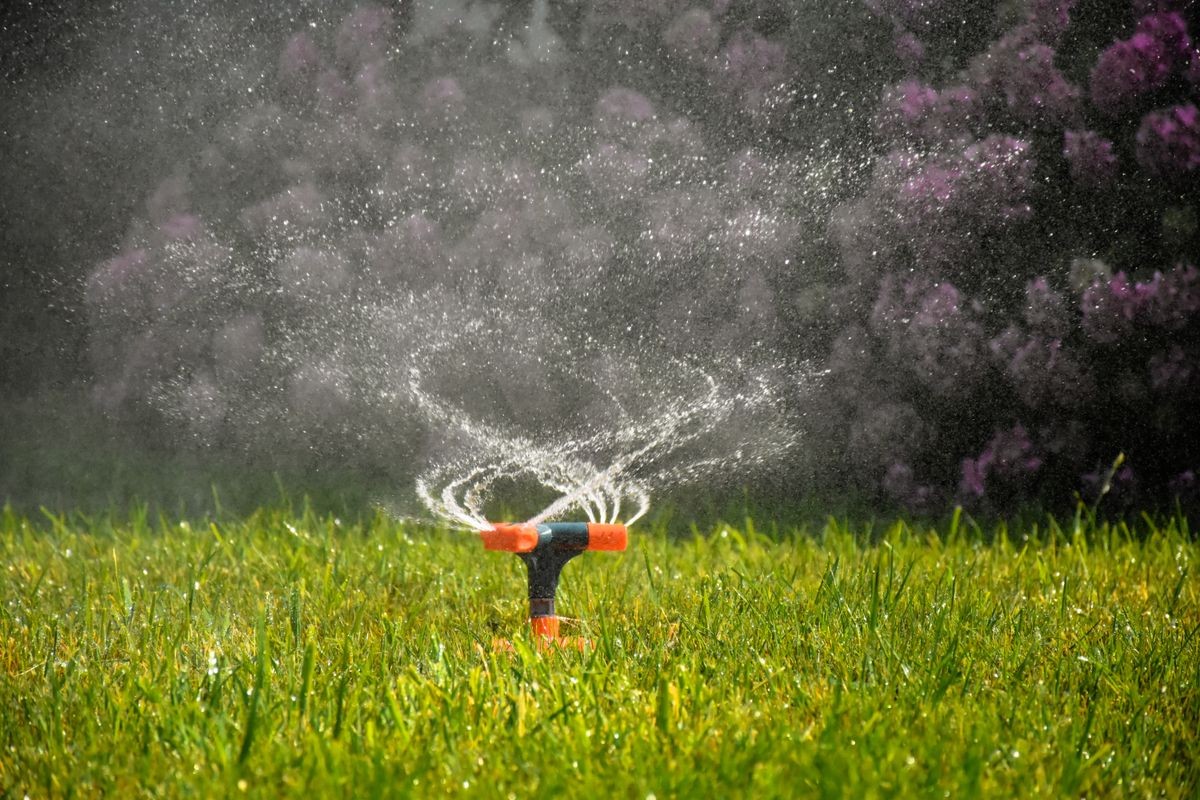 Automatic system watering the lawn on a background of green grass with flowers. Irrigation system, watering the garden. Gardening.